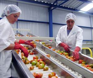 Secteur Agroalimentaire- Industries Agroalimentaires (viandes, lait et produits laitiers, produits élaborés, céréales, huile et corps gras, sucre et produits dérivés, boissons et produits divers), CHR ( Restauration collective, hôtels, Restaurations), et Moyennes Distributions, Artisans et Métiers de Bouche (Poissonniers, Boulangers, Pâtissiers, Bouchers) et logistique